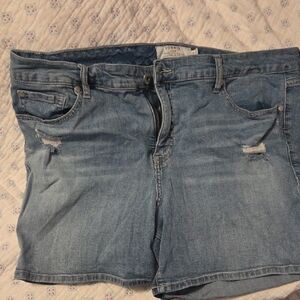 Torrid Light Blue Distressed Denim Shorts